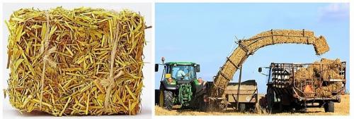 Как из тюков соломы построить дом. Соломенные блоки, их преимущества и недостатки 04 Как из тюков соломы построить дом. Соломенные блоки, их преимущества и недостатки 04