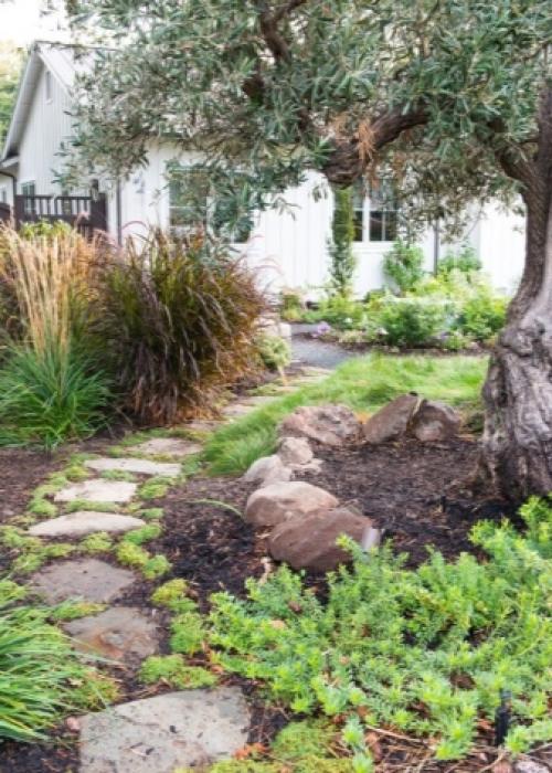 Тротуарная плитка для дорожек на даче: разновидности и дизайн 05