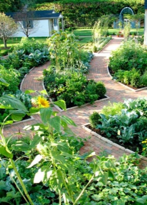 Тротуарная плитка для дорожек на даче: разновидности и дизайн 04