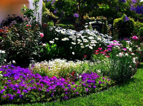 Оформление цветочных клумб своими руками в домашних условиях. Клумба своими руками — роскошные идеи дизайнеров и советы по дизайну и оформлению (105 фото)