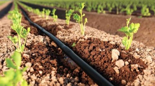 Как самому сделать капельный полив на даче. Как сделать капельный полив своими руками?