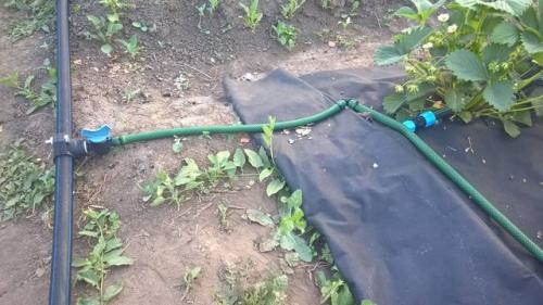 Старт коннектор для капельного полива. Сборка капельного полива с фитингами с поджимной гайкой