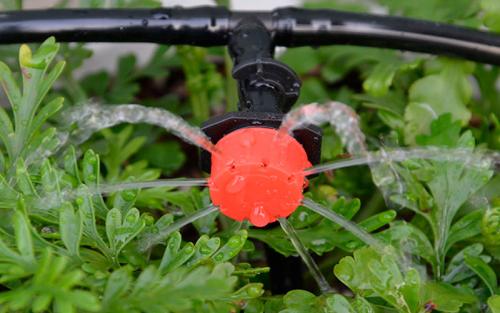 Система капельного полива своими руками. Полив в закрытом грунте 17