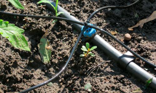 Система капельного полива своими руками. Полив в закрытом грунте 16