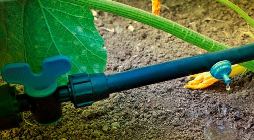Система капельного полива своими руками. Полив в закрытом грунте 15