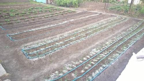 Старт коннектор для капельного полива. Сборка капельного полива с фитингами с поджимной гайкой