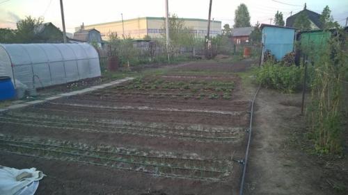 Старт коннектор для капельного полива. Сборка капельного полива с фитингами с поджимной гайкой