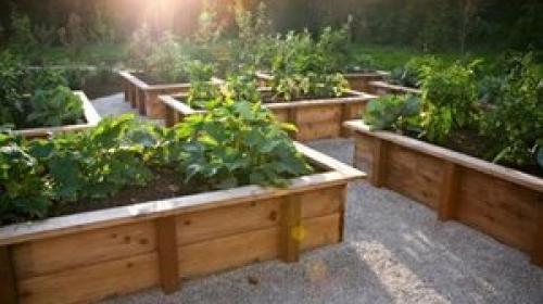 Как делать грядки на огороде. Возможные варианты и фото грядок своими руками из подручных материалов 04
