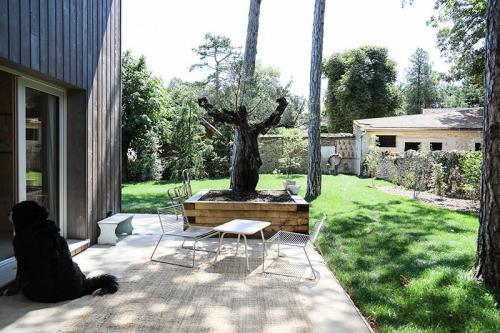 Интерьер из дерева, бассейн и потрясающая природа 20