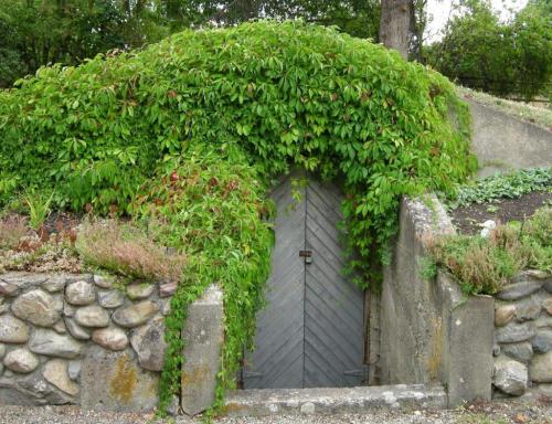 Погреб своими руками. Пошаговое строительство погреба своими руками