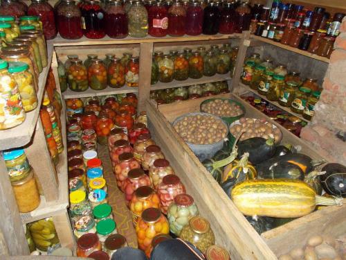 Погреб своими руками. Пошаговое строительство погреба своими руками