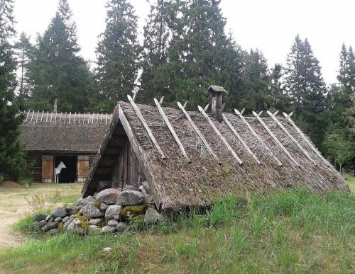 Погреб своими руками. Пошаговое строительство погреба своими руками