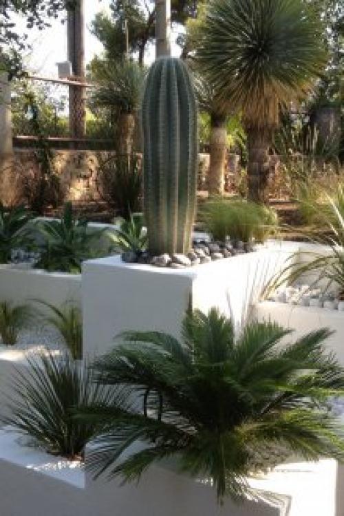 Ландшафтный дизайн участка с домом в центре. Элементы досуга и дорожки