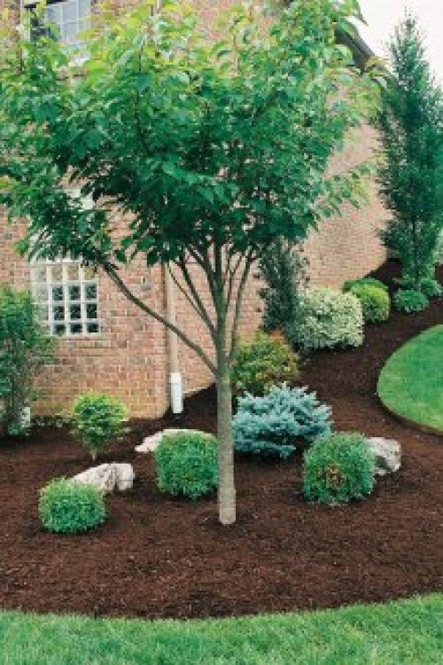 Ландшафтный дизайн участка с домом в центре. Элементы досуга и дорожки