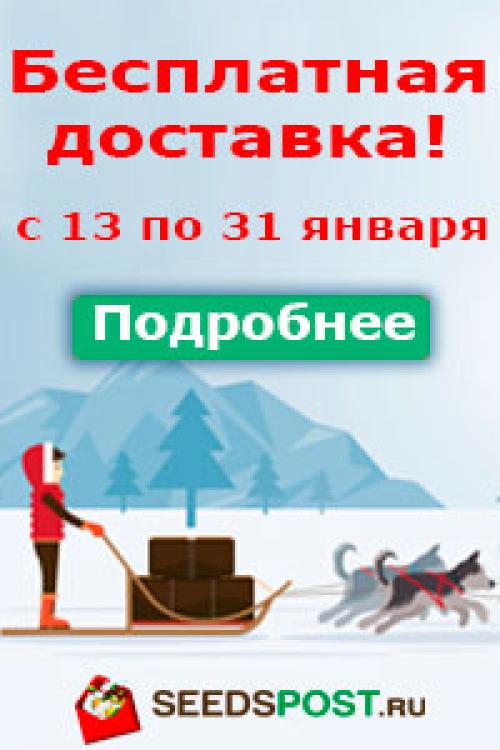 Планировка участка 5 соток. Помогите распланировать участок в 5 соток