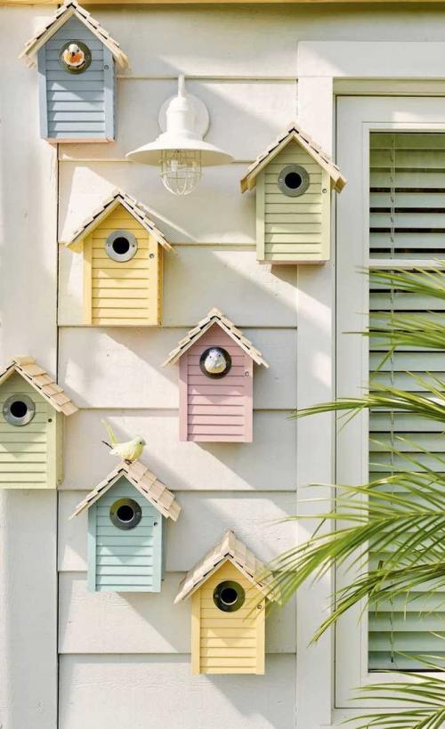 Тропическая коллекция 12