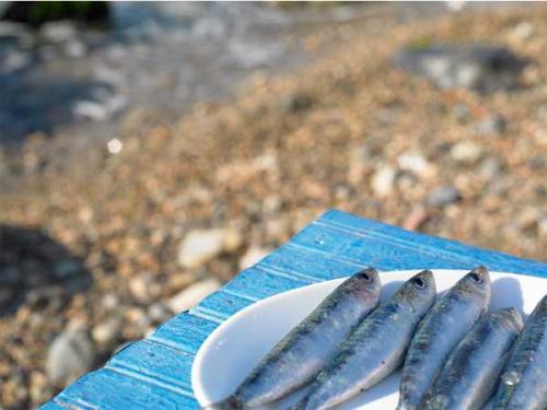 Дом рыбака 10