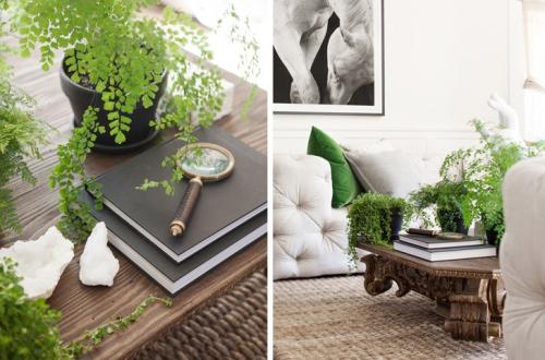 Замечательные интерьеры от Studio Revolution 01