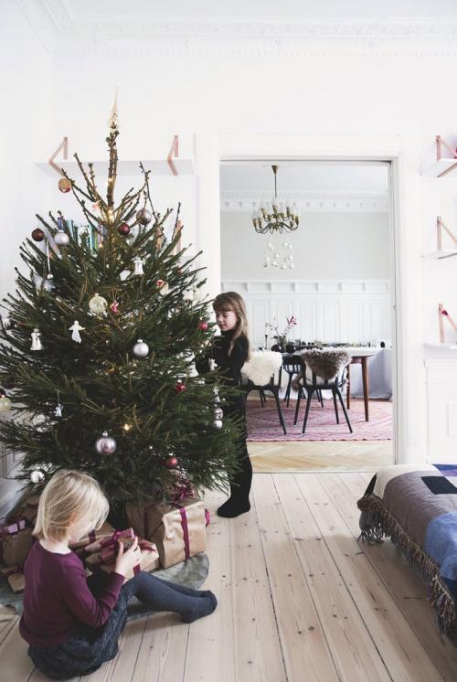 В гостях у одной датской семьи 01