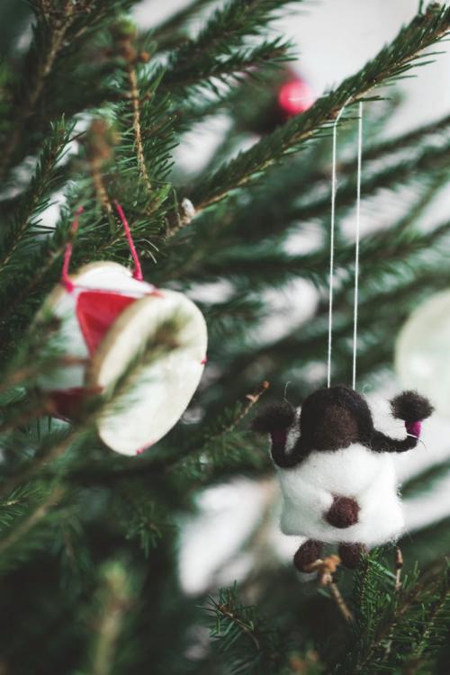 В гостях у одной датской семьи 02