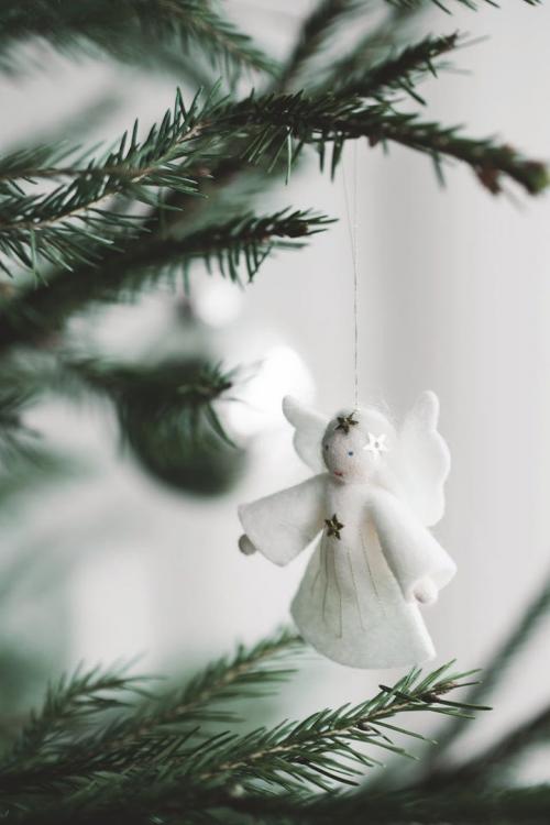 В гостях у одной датской семьи 03