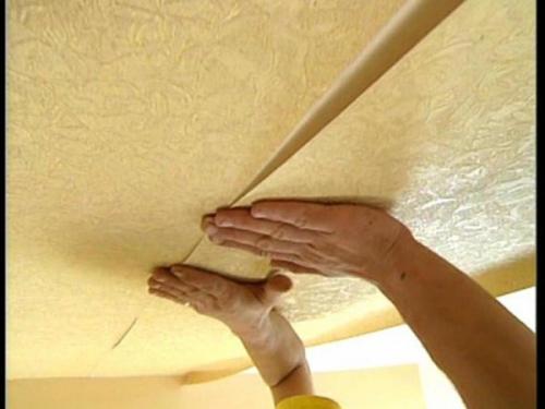 Потолки в частном доме варианты. Варианты отделки потолков в доме 07