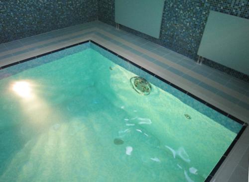 Строительство бассейна в доме. Какому формату резервуара отдать предпочтение?