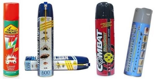 Мелкие насекомые в ванной. Как избавиться от мелких мушек 06