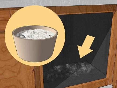 Мелкие насекомые в ванной. Как избавиться от мелких мушек 10