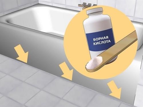 Мелкие насекомые в ванной. Как избавиться от мелких мушек 11