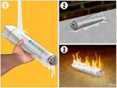 Мелкие насекомые в ванной. Как избавиться от мелких мушек 09
