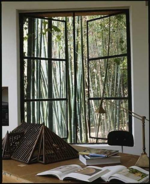 Miguel Flores-Vianna 09