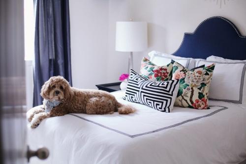 Современный взгляд на традиционные интерьеры от Paloma Contreras 24