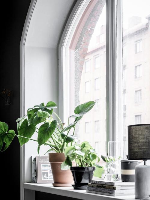 Маленькая квартира в помещении бывшего магазина (24 кв. м) 09