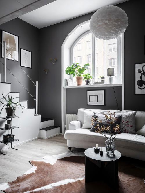 Маленькая квартира в помещении бывшего магазина (24 кв. м) 01