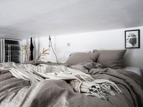 Маленькая квартира в помещении бывшего магазина (24 кв. м) 11