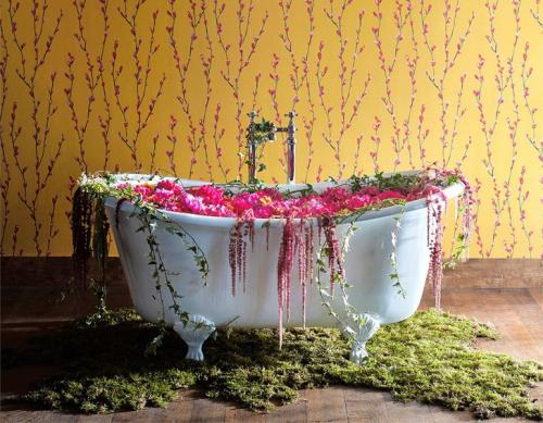 Дизайн, вдохновленный природой 10