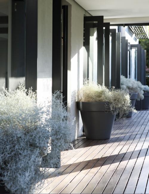 Дизайн из Южной Африки 15