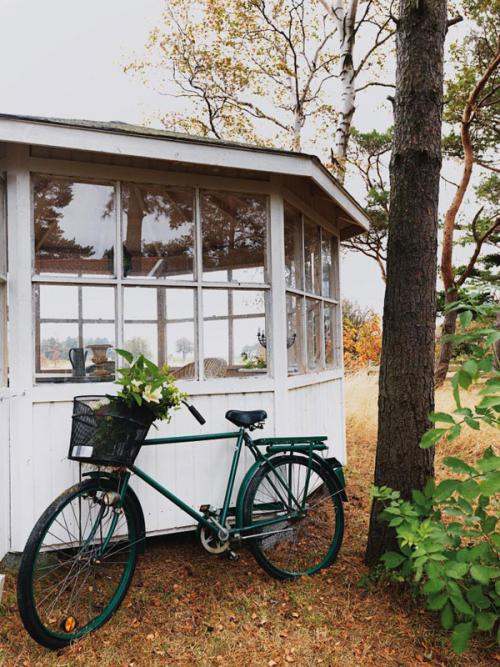 Дом для холостяка в Швеции 09 Дом для холостяка в Швеции 09