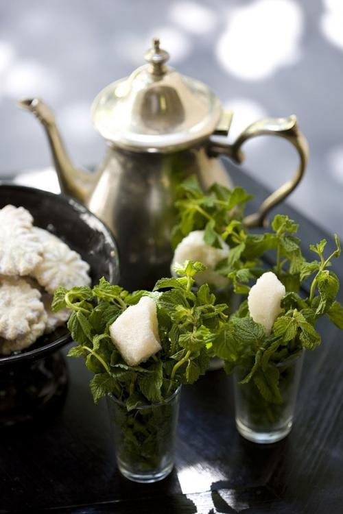 Обаяние колониального особняка в Марракеше 12