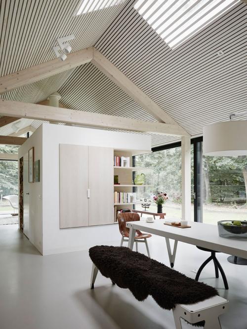 Дом со стеклянными стенами посреди лесной сказки 01