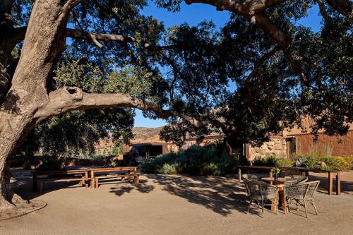 Когда дизайн не нарушает первозданную гармонию природы: уникальный отель в Мексике 10