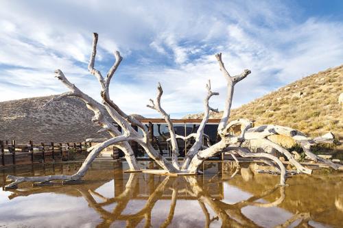 Когда дизайн не нарушает первозданную гармонию природы: уникальный отель в Мексике 12