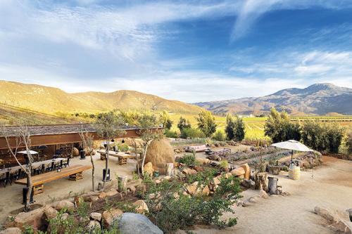 Когда дизайн не нарушает первозданную гармонию природы: уникальный отель в Мексике 11