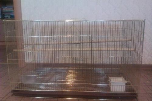 Как сделать клетку для попугаев. Просторная клетка для попугая сооруженная своими руками