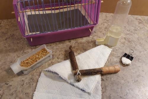 Как увеличить клетку для попугая. Клетка для волнистого попугая-инвалида