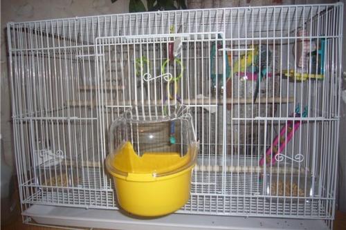 Как сделать клетку для попугаев. Просторная клетка для попугая сооруженная своими руками