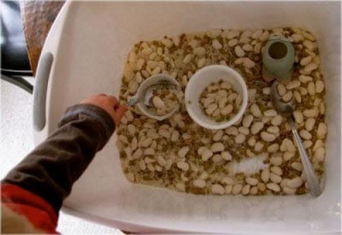 Как сделать клетку по биологии. Занимательные опыты по биологии