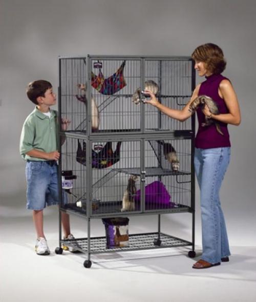 Как сделать клетку для норки. Как самостоятельно построить клетку для хорька