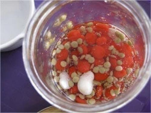 Как сделать клетку по биологии. Занимательные опыты по биологии